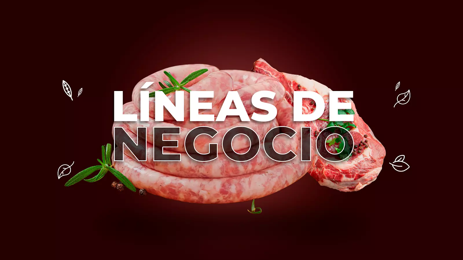 Líneas de negocio